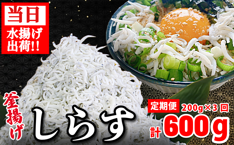 しらす 釜揚げ 定期便 計600g 200g ×3回 先行予約 ちりめんじゃこ じゃこ しらす ちりめん 小魚 魚 海鮮 魚介類 魚貝 シーフード いわし 鰯 おかず おつまみ 惣菜 弁当 ご飯 のお供 ごはん 酒の肴 のお供 小分け 冷蔵 新鮮 海鮮 お取り寄せ グルメ ギフト プレゼント 贈答 人気 おすすめ 徳島県 小松島市 和田島産