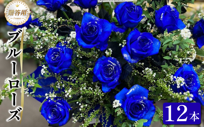 生花 ブルーローズ 12本 青バラ バラ 薔薇 花束 ローズ フラワー ブーケ 生け花 プレゼント 贈り物 ギフト 雑貨 インテリア 人気 記念日 誕生日 フラワーガーデンミモザ 徳島県 小松島