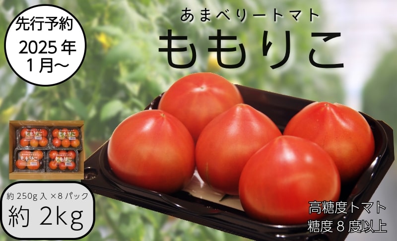 [先行予約]2025年1月発送 ももりこトマト 約2kg(約250g×8パック) フルーツ トマト 糖度8以上 徳島 甘い 野菜 人気 おすすめ 産地 直送 ふるさと納税 野菜 ヘルシー 健康 小分け パック