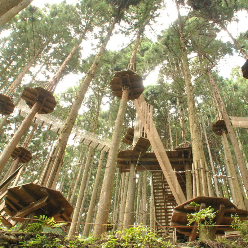 フォレストアドベンチャー祖谷 3名 アドベンチャーコース 利用券 ジップライン