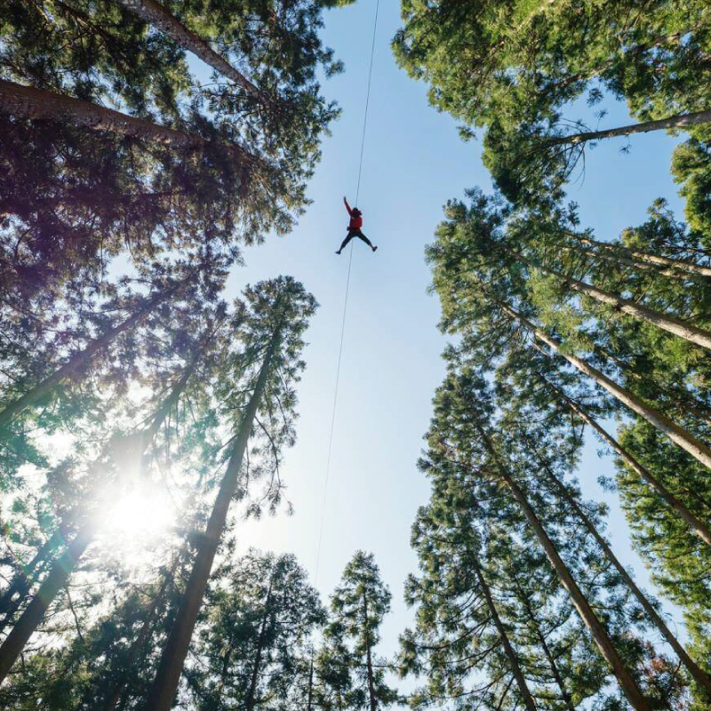 フォレストアドベンチャー祖谷 1名 祖谷ロングジップスライド 利用券