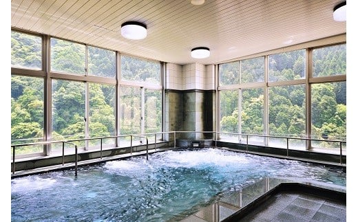 ホテル 宿泊券 サンリバー大歩危 ペア宿泊券 露天風呂付客室 1泊2食付