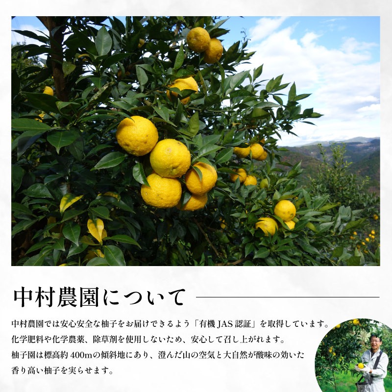 有機ゆず 黄色ゆず 優品 1.5kg