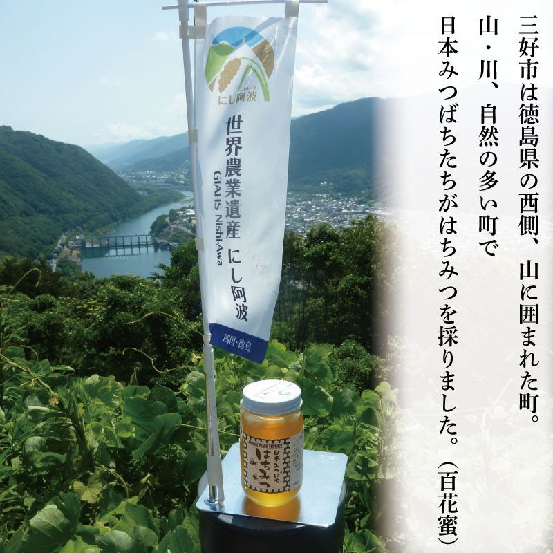 日本みつばち　てっぺんはちみつ