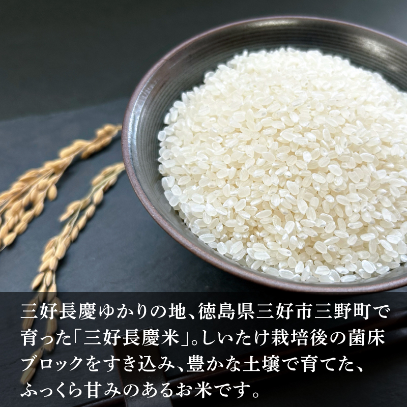 米 令和7年産 新米 10kg ヒノヒカリ