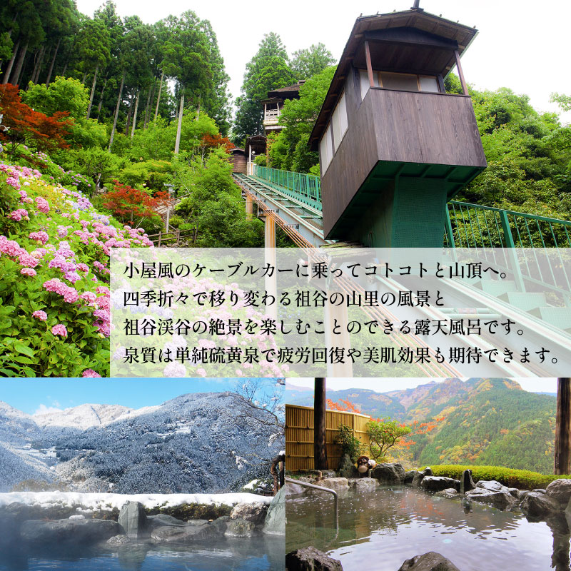 ホテル 宿泊券 15,000円分 新祖谷温泉