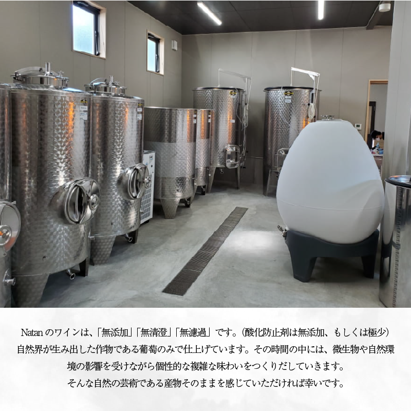 ワイン おまかせ 750ml 2本 セット 定期便 3回 4月 7月 12月 発送 Natan 葡萄酒 醸造所 酒 国産 国産ワイン 国産 プレゼント 贈答用 ギフト 記念 グルメ 送料無料 徳島県 三好市 みよし ナタン NATAN