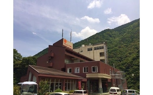 ホテル 宿泊券 サンリバー大歩危 ペア宿泊券 露天風呂付客室 1泊2食付