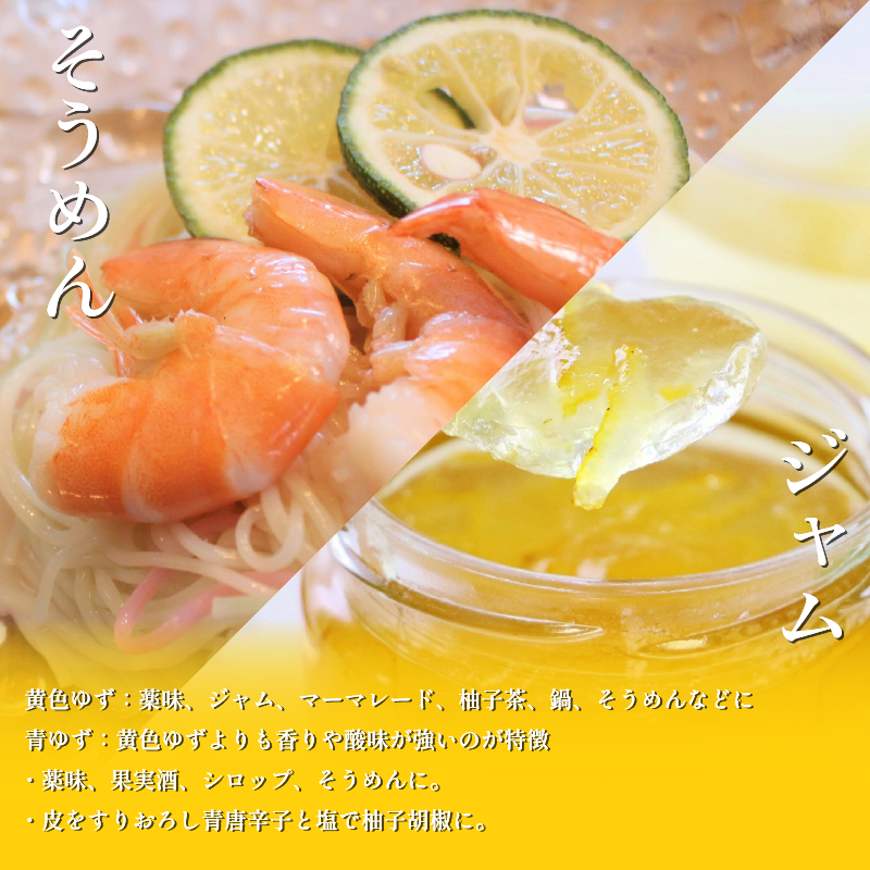 訳あり 有機ゆず 黄色ゆず 良品 5kg