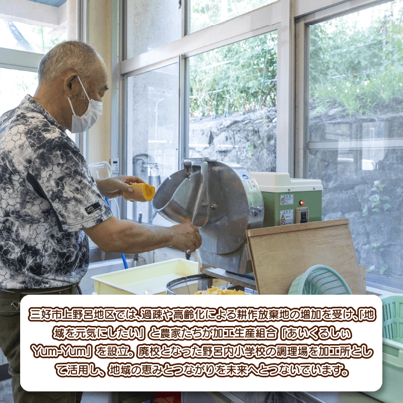 徳島県産 野菜パウダー 40g×5種