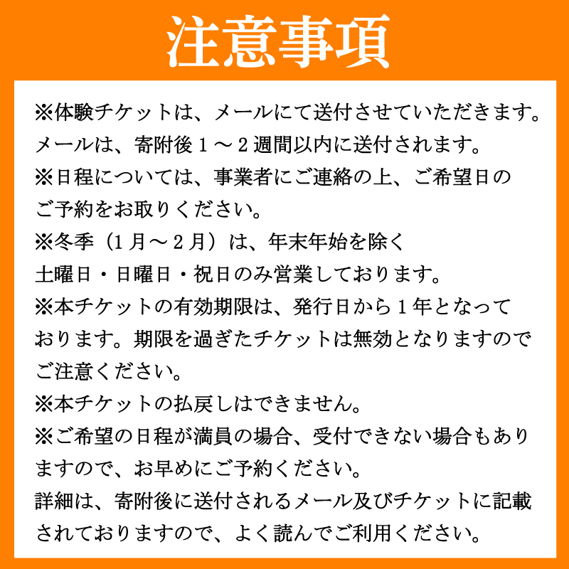フォレストアドベンチャー祖谷 2名 アドベンチャーコース 利用券 ジップライン