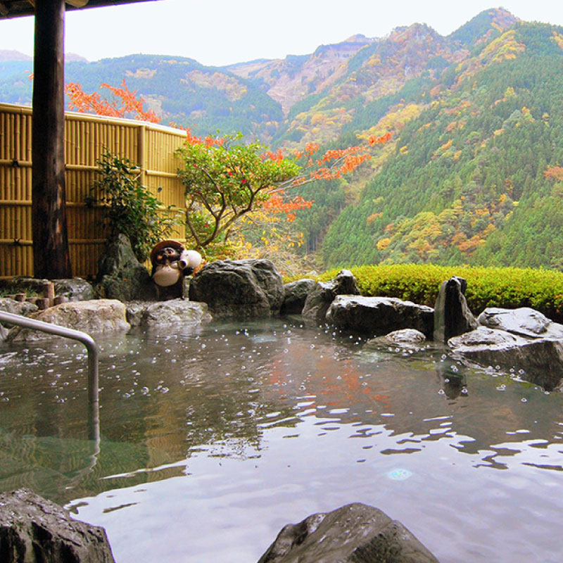 ホテル 宿泊券 15,000円分 新祖谷温泉