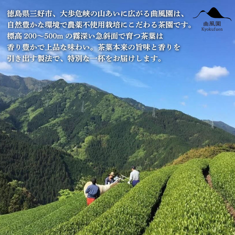 茶 緑茶 ほうじ茶 紅茶 番茶 農薬不使用 5種 ティーバッグ 40個 セット お茶 茶葉 日本茶 煎茶 焙じ茶 和紅茶 番茶 炒り番茶 茶匠の技 鮮やか 色合い 旨み 渋み 国産 徳島県産 大歩危茶 山城茶 お取り寄せ お中元 お歳暮 ギフト 贈り物 手土産 送料無料 徳島県 三好市 みよし
