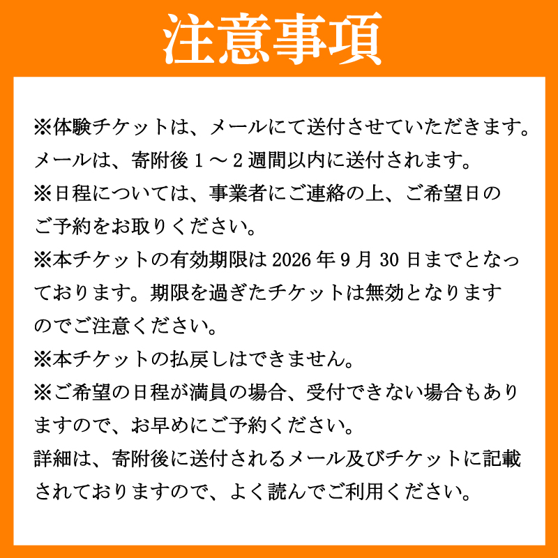 水あそび アクティビティ ウォータースポーツ 施設利用券 半日 半日 水遊び