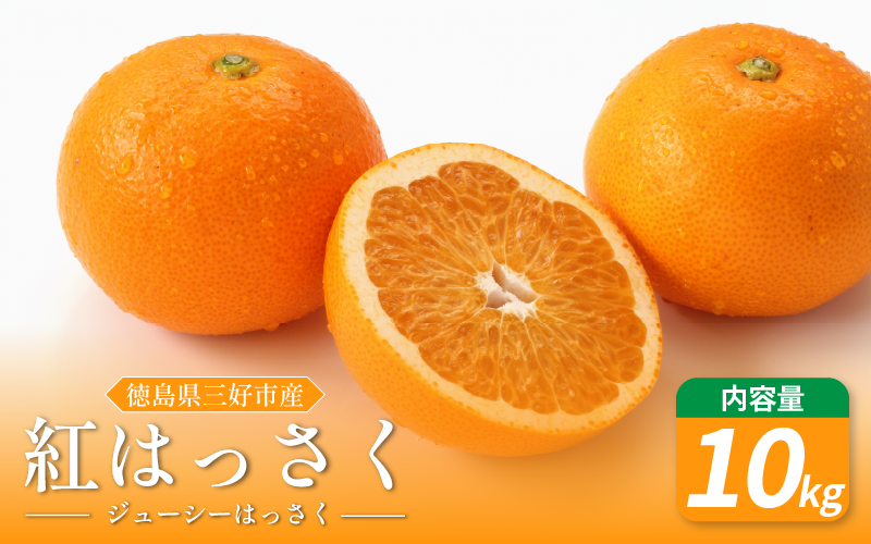 みかん はっさく 10kg 紅はっさく