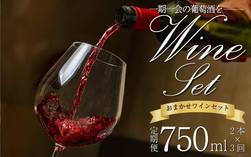 ワイン おまかせ 750ml 2本 セット 定期便 3回 4月 7月 12月 発送 Natan 葡萄酒 醸造所 酒 国産 国産ワイン 国産 プレゼント 贈答用 ギフト 記念 グルメ 送料無料 徳島県 三好市 みよし ナタン NATAN