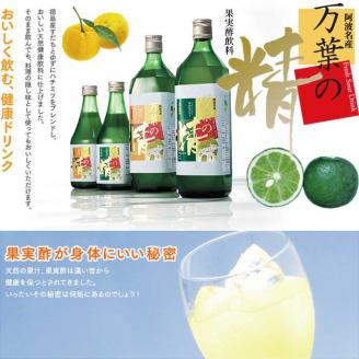 和柑橘希釈ジュース 720ml 3種セット