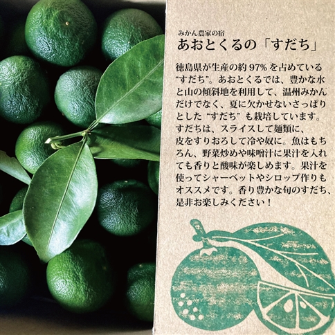 あおとくる 山のすだち 1kg