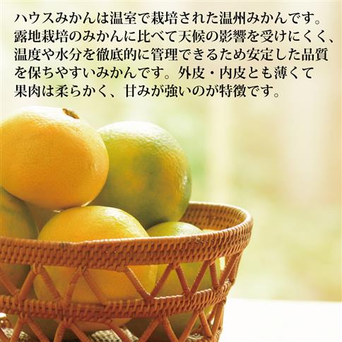 花岡農園 勝浦ハウスみかん SS-Mサイズ 3.5kg（個包装8パック入）