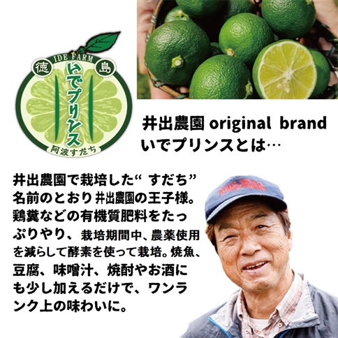 井出農園 露地すだち いでプリンス 家庭用 2kg