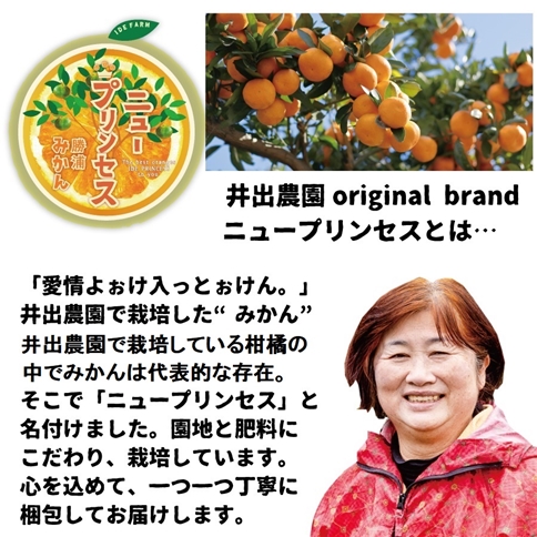 井出農園 訳あり 極早生 初摘みかん 家庭用 S-L混合 10kg