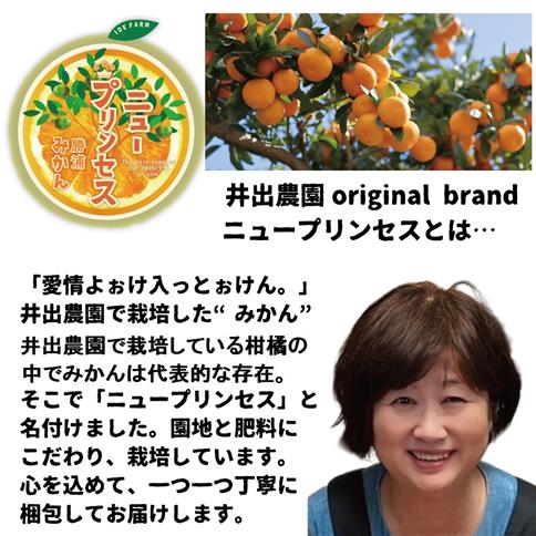 井出農園 贈答用 熟成みかん 秀品 S-Mサイズ 7kg