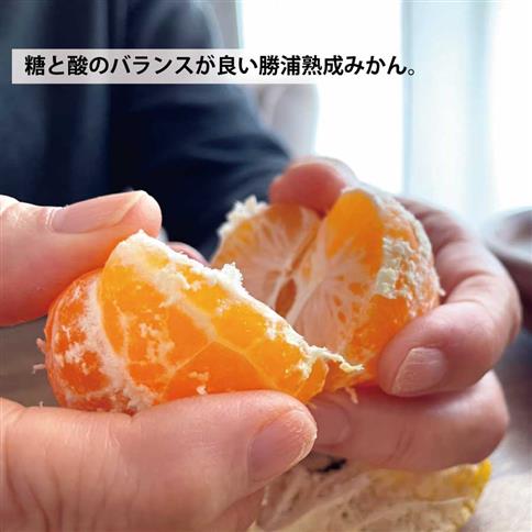  JA東とくしま 勝浦熟成みかん 9kg 大玉サイズ 優品