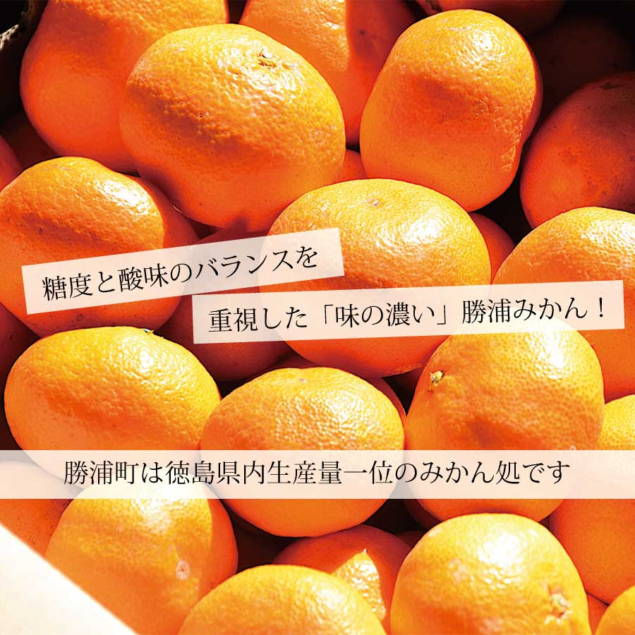 みかんジャム 4個