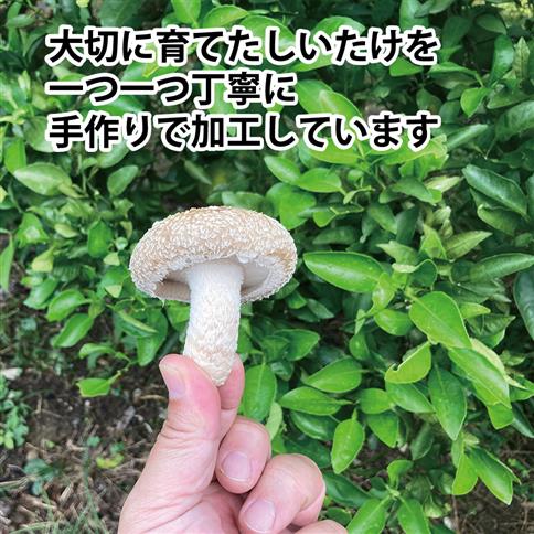 北野農園 乾しいたけスライス 200g