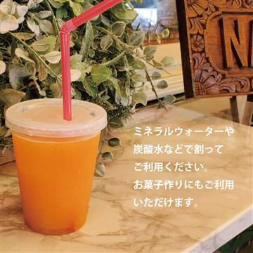 勝浦みかんシロップ みかんミカンmikan 3本