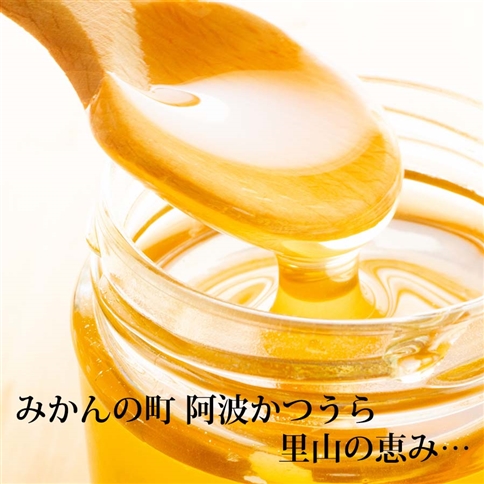 はちみつ太良 600g