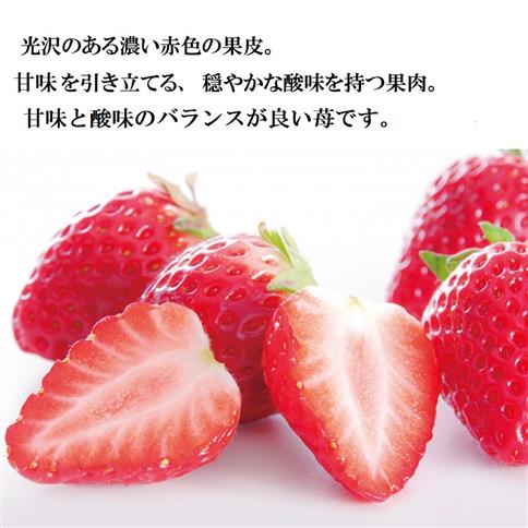 山西いちご園 さちのか 4P