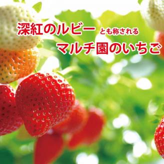 VERY40％ いちごアイスクリーム 6個