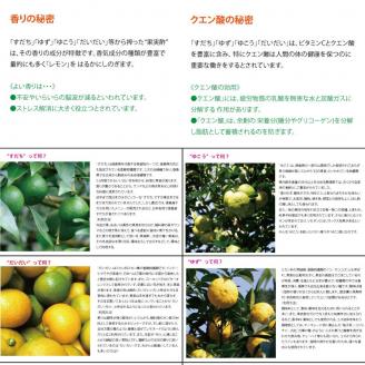 和柑橘希釈ジュース 200ml 3種セット