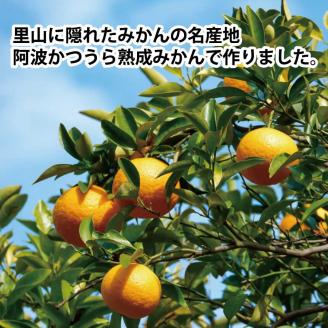 みかんジュレ 8個