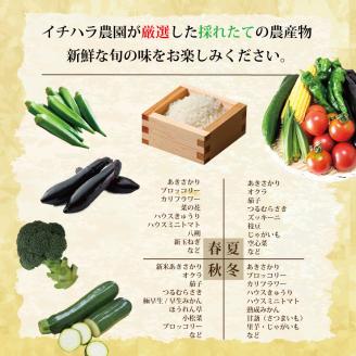 【定期便3回/2か月毎】市原農園 お米と農産物