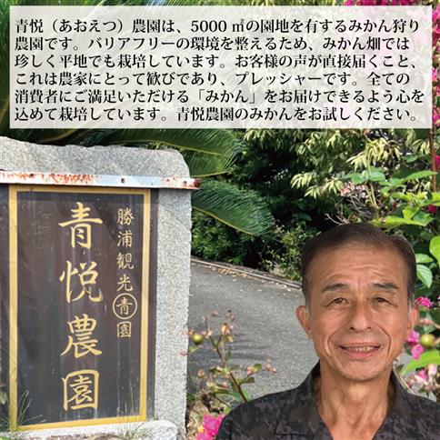 青悦農園 勝浦早生みかん S-LLサイズ 秀品 10kg