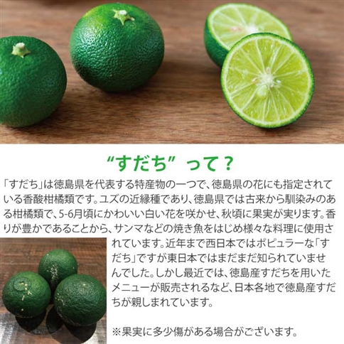 あおとくる 山のすだち 1kg