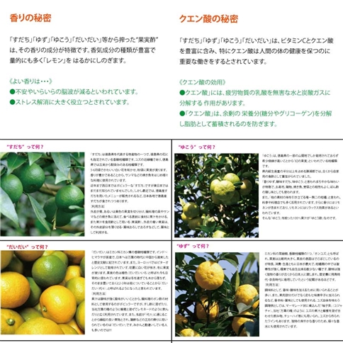 和柑橘果汁 300ml 4種セット