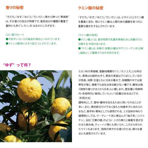 果実酢飲料 ゆずハニー 280ml×24本入