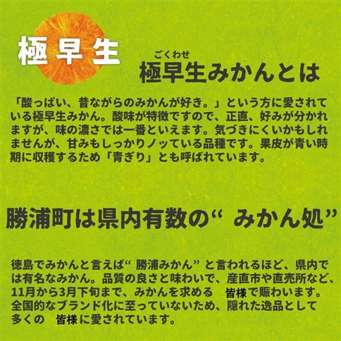 井出農園 訳あり 極早生 初摘みかん 家庭用 S-L混合 5kg