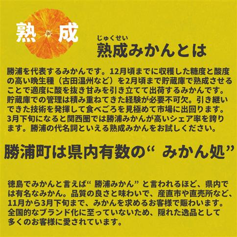井出農園 家庭用 熟成みかん S-LLサイズ 5kg