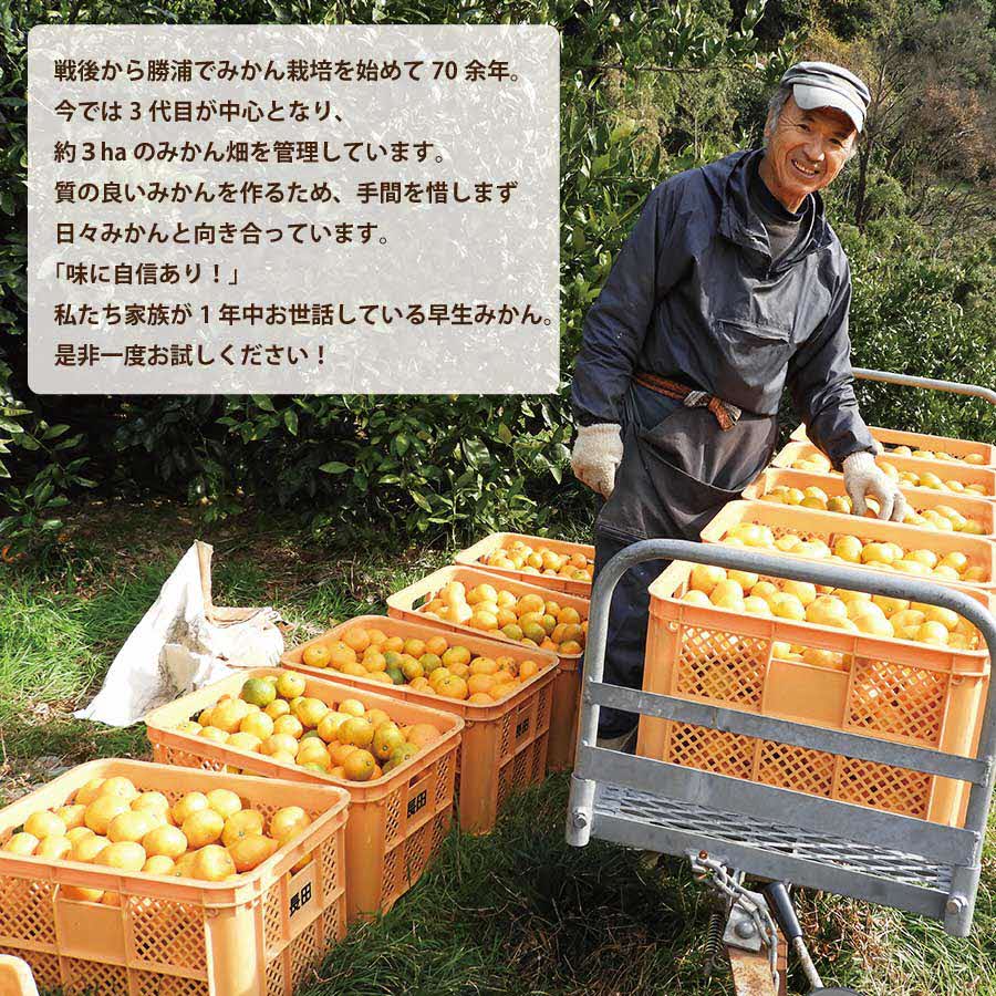 長田農園 早生みかん 秀品 S-Lサイズ 10kg