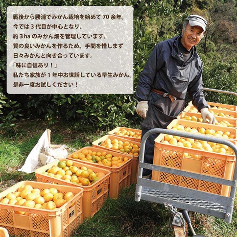 長田農園 早生みかん 秀品 LLサイズ 9kg