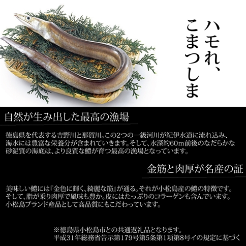 活〆 鱧（はも）切り身【骨切り・カット済】1kg