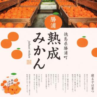 みかんジュレ 8個