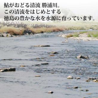 鮎の一夜干し 8尾