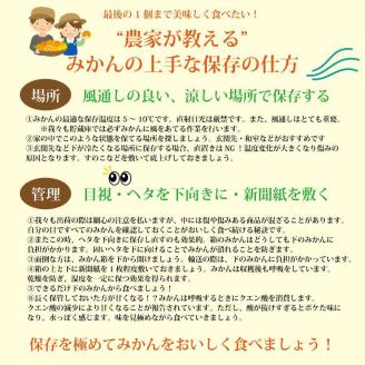 長田農園 早生みかん 秀品 SSサイズ 10kg