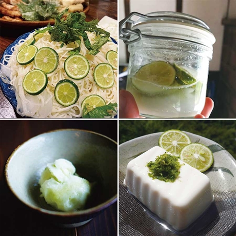 あおとくる 山のすだち 1kg