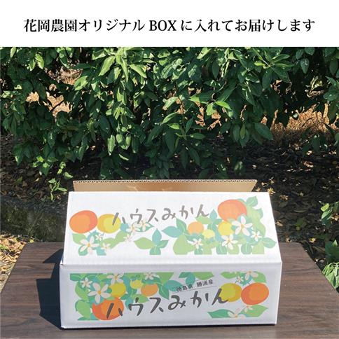 花岡農園 勝浦ハウスみかん SS-Mサイズ 3.5kg（個包装8パック入）